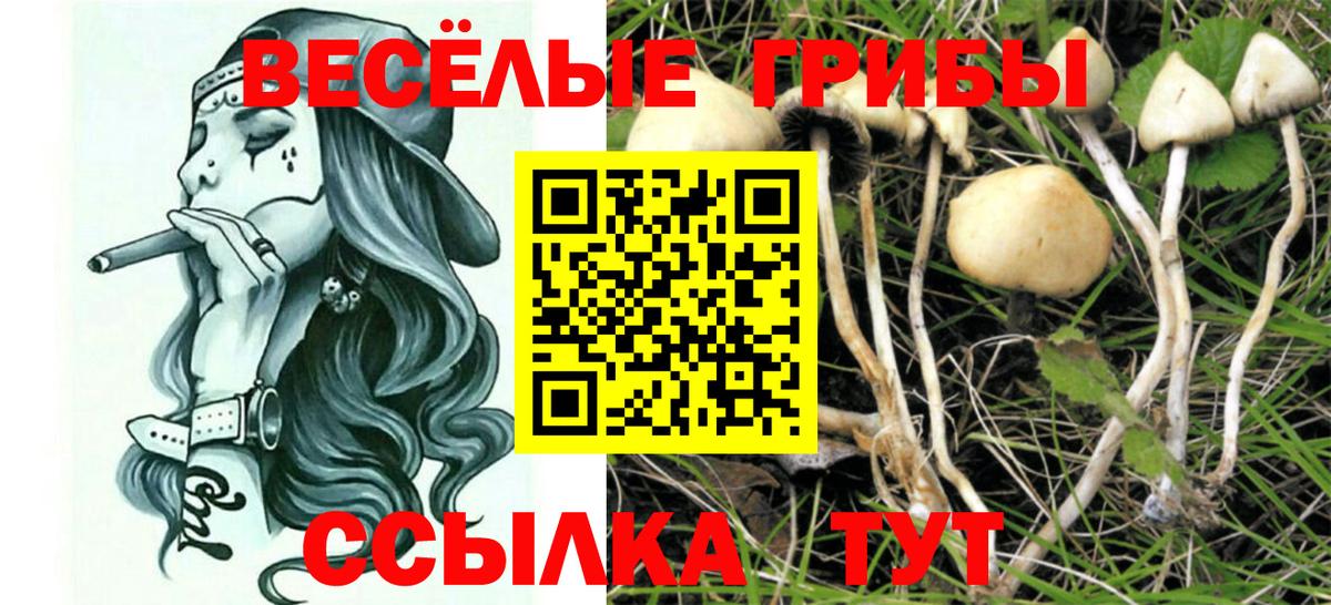 Галлюциногенные грибы ЛСД Гуково