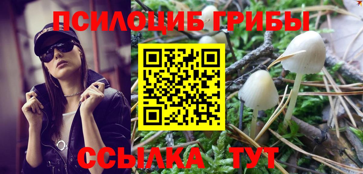 Псилоцибиновые грибы Psilocybe  Вход с VPN  Галлюциногенные грибы Cubensis  Гуково 